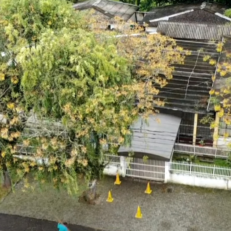  Homem morto foi encontrado ao lado de portão de entrada dos alunos, em escola de Curitiba 