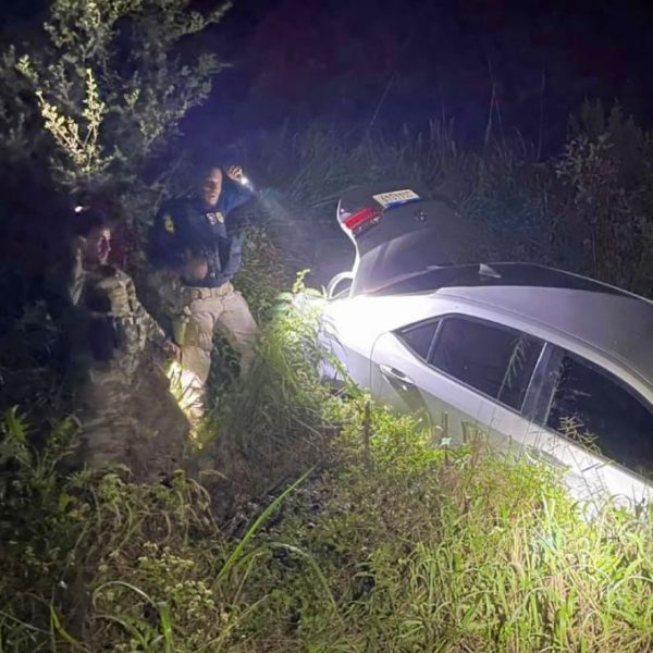 Suspeito jogou veículo em área de mata