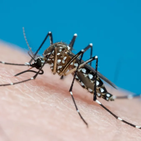 Mutirão de combate à dengue acontece em municípios do Paraná