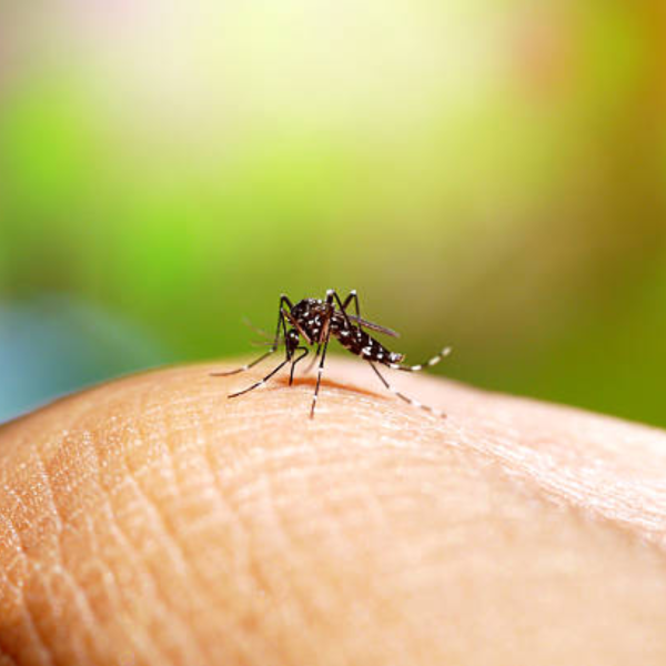 Brasil atinge marca de 4 milhões de casos de dengue confirmados