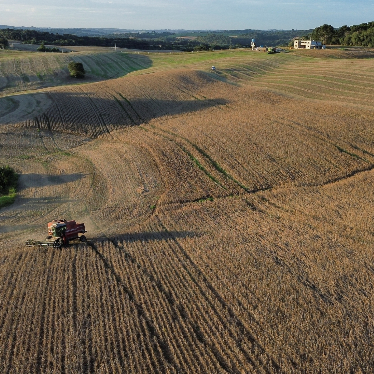  Projeção de safra de soja é reduzida para 146,3 mi de toneladas pela Datagro 