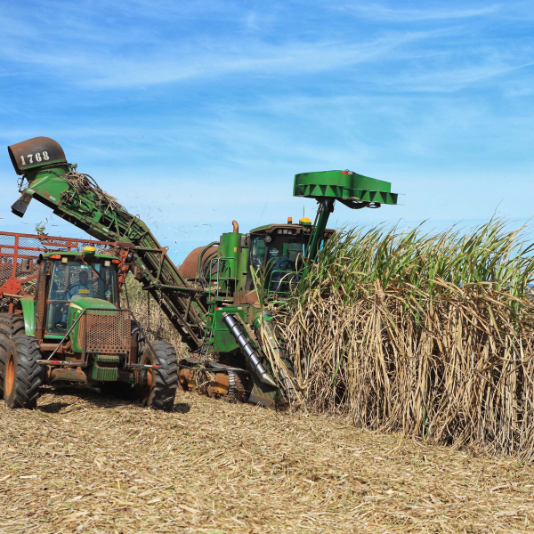 Paraná é o maior exportador do Sul com US$ 5,4 bilhões no 1° trimestre