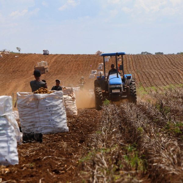  Produtores rurais podem renegociar suas dívidas do crédito rural 