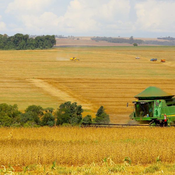 Produtores rurais podem renegociar suas dívidas do crédito rural