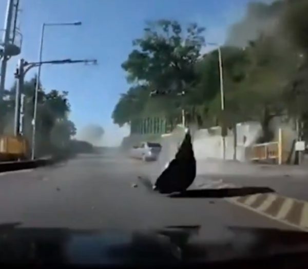 VÍDEO: Carro é esmagado por pedra durante terremoto em Taiwan