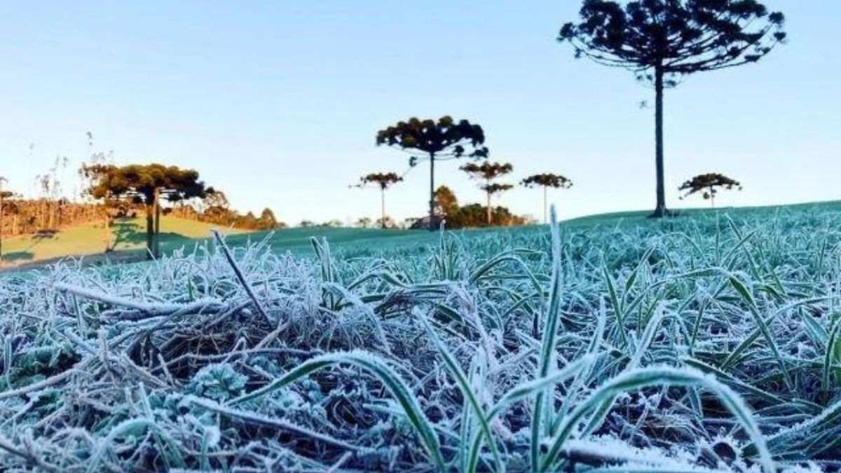 Paraná está em alerta amarelo para risco de geada neste sábado (1°)