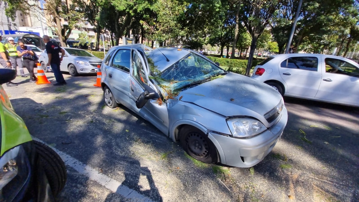 Árvore cai sobre carro e fere motorista na Praça 29 de Março