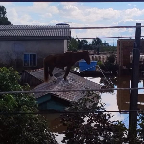 Tempestade que deve atingir Curitiba já causou destruição no Rio Grande do Sul