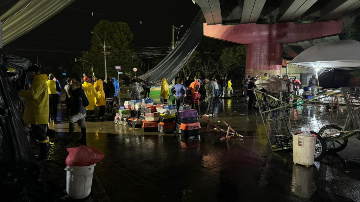 Imagens mostram resgatados das enchentes no Rio Grande do Sul sendo atendidos embaixo de viaduto