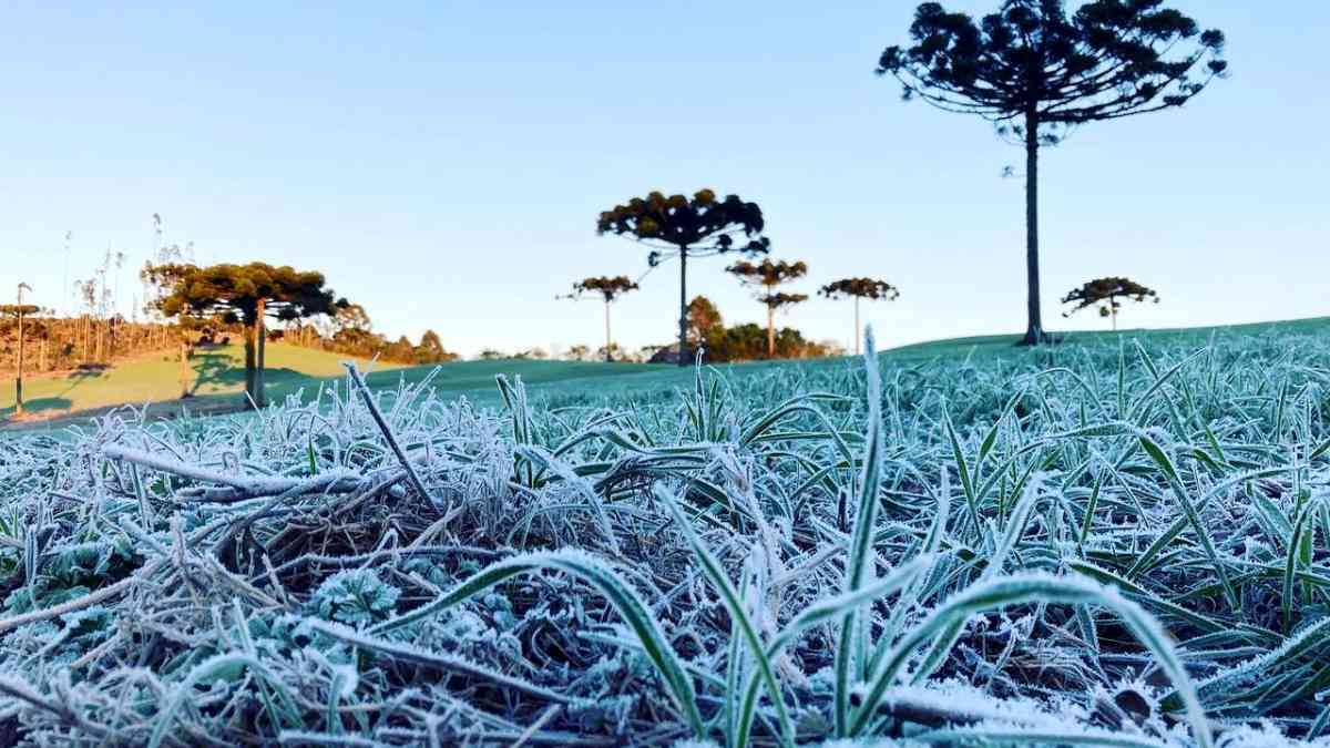 Previsão do tempo do Paraná garante "frio rigoroso" nesta quinta (30)