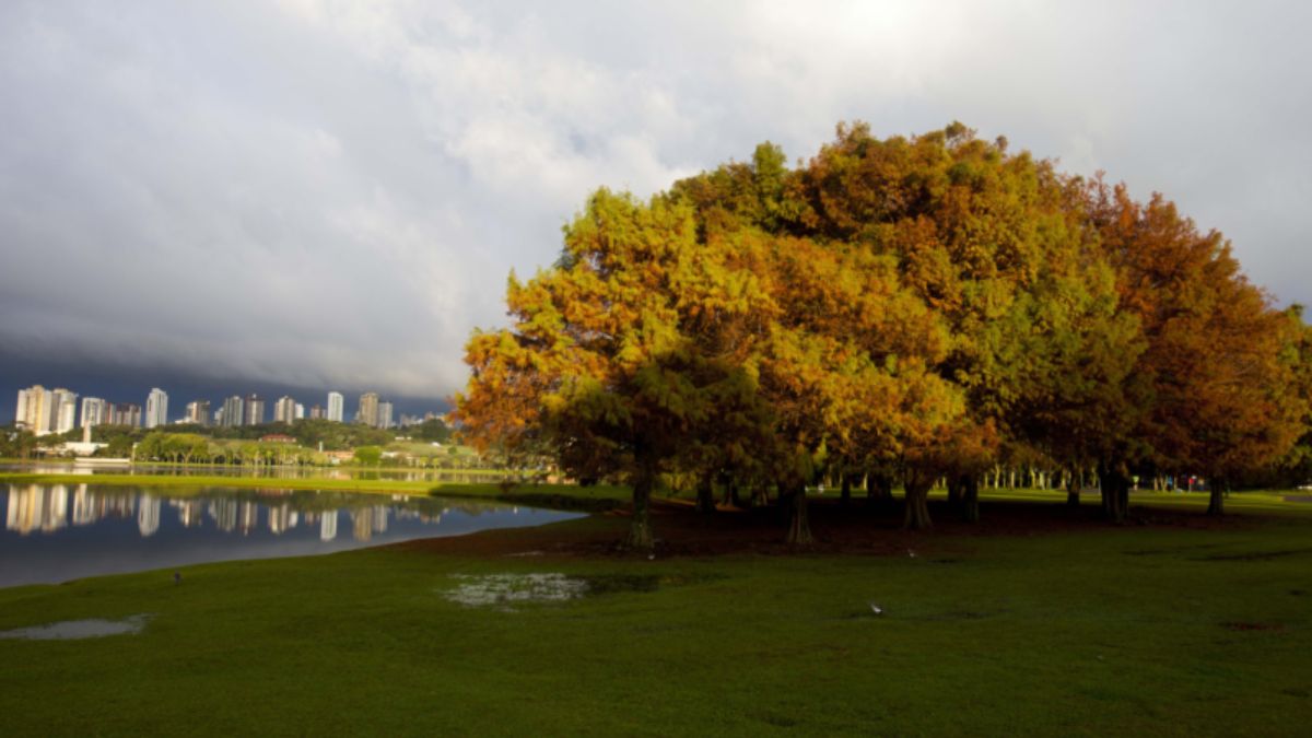 Previsão do tempo para Curitiba amanhã (01/06/2024), segundo o Climatempo