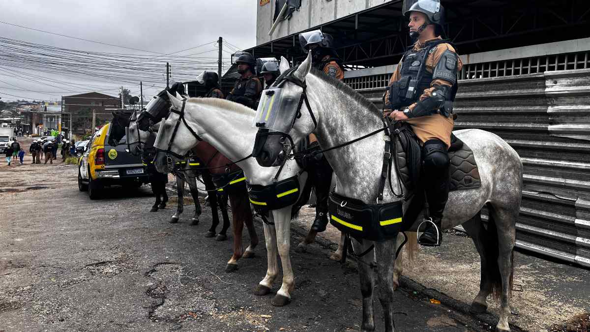 Polícia Militar cumpre mandado de reintegração de posse de oito moradias no bairro Novo Mundo