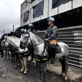 Polícia Militar cumpre mandado de reintegração de posse de oito moradias no bairro Novo Mundo