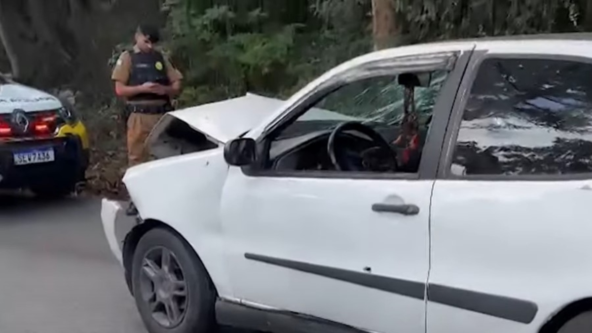 Vídeo mostra tentativa de execução dentro de uma padaria em São José dos Pinhais