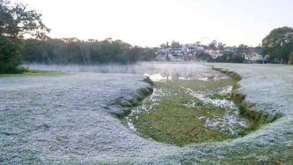 Cidades do Paraná registram geada em manhã de frio no estado