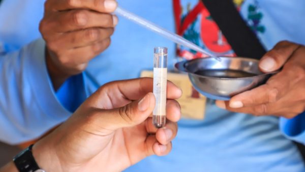 Boletim da Dengue: Paraná registra 34.360 novos casos e 47 óbitos