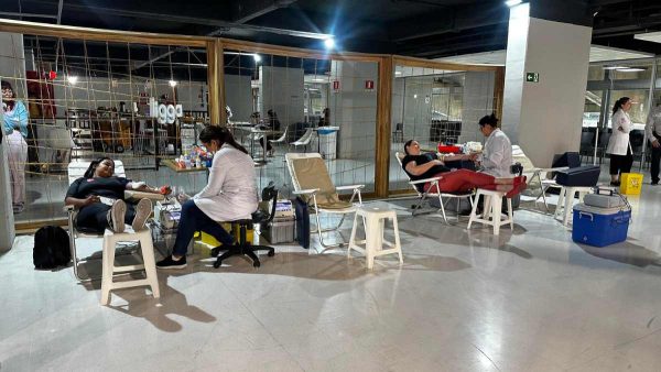 Boletim da Dengue: Paraná registra 34.360 novos casos e 47 óbitos