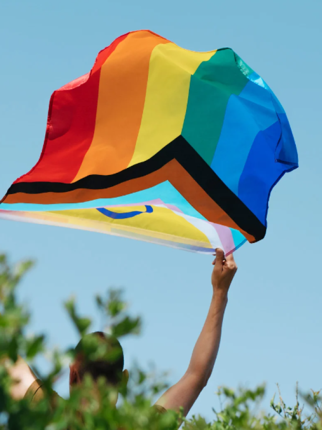 Arco-íris LGBTQIAPN+: o significado das cores