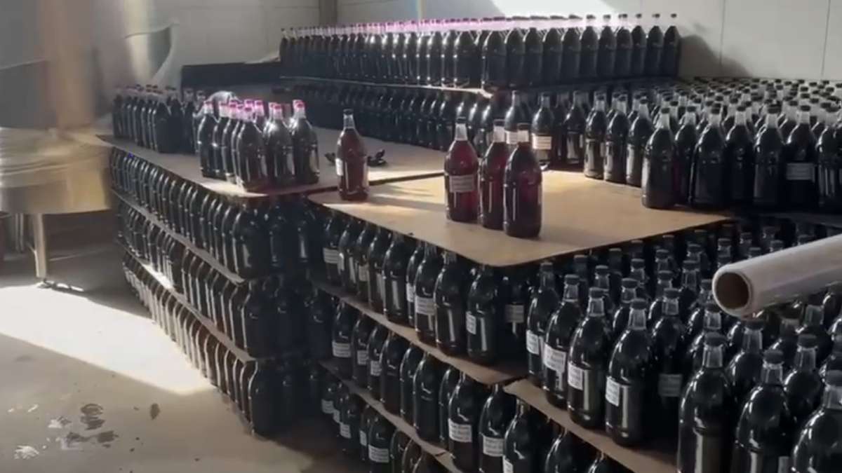 Fábrica de vinhos clandestina é descoberta com 16 mil garrafas na RMC; assista