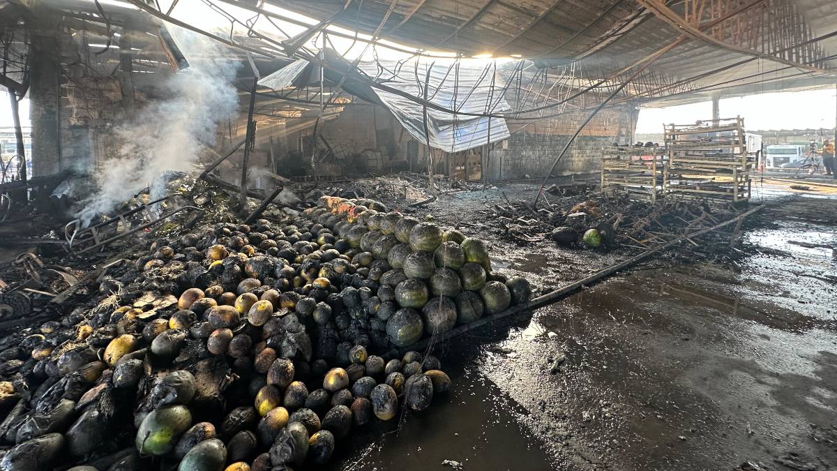 Fotos mostram destruição após incêndio na Ceasa 