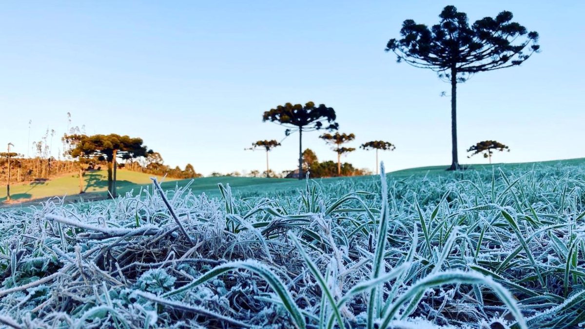 Frente fria chega a Curitiba neste final de semana 