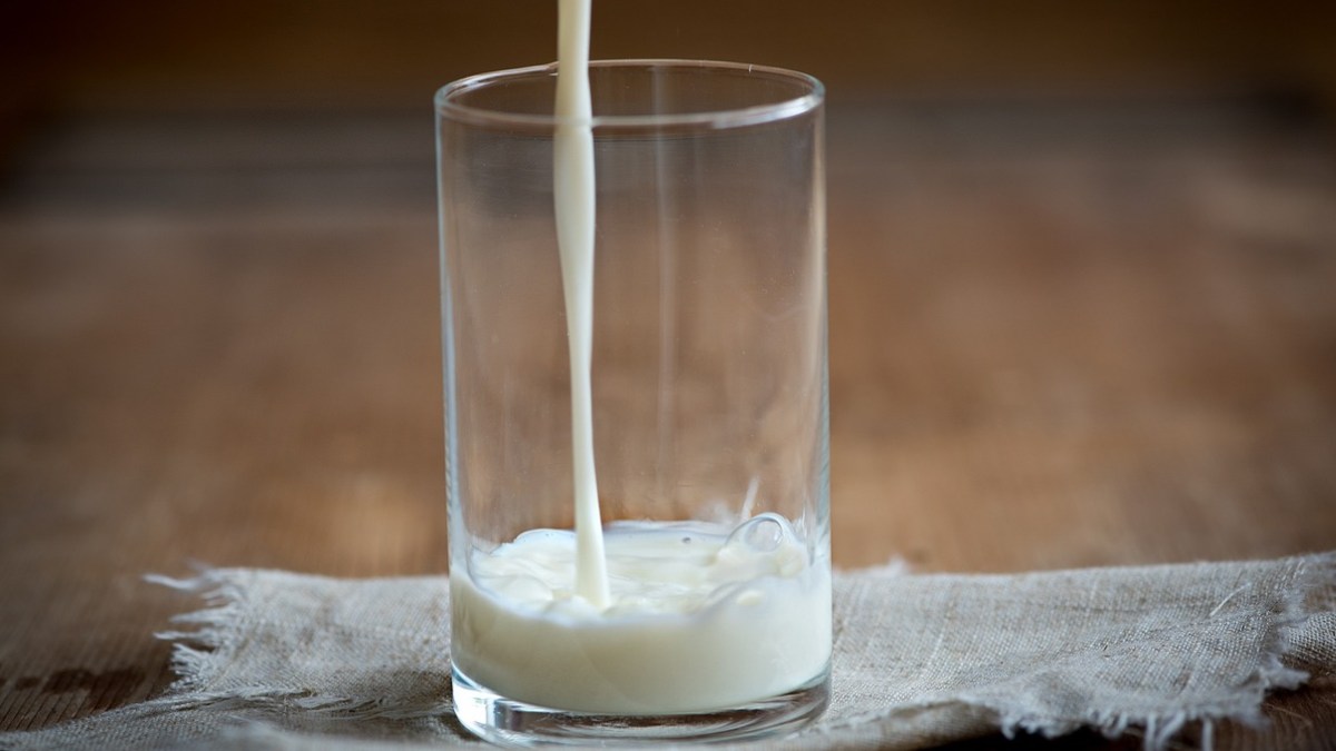 Existem diversos mitos e verdades sobre o leite