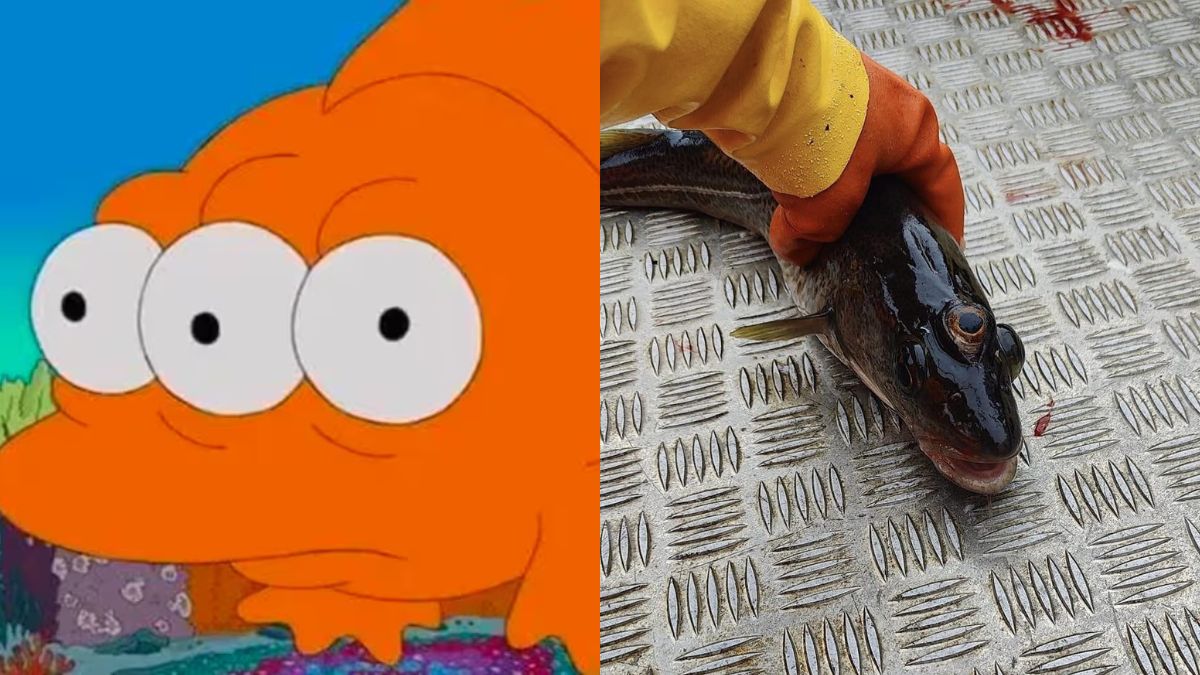 Nova previsão de 'Os Simpsons': peixe de três olhos é capturado; veja foto