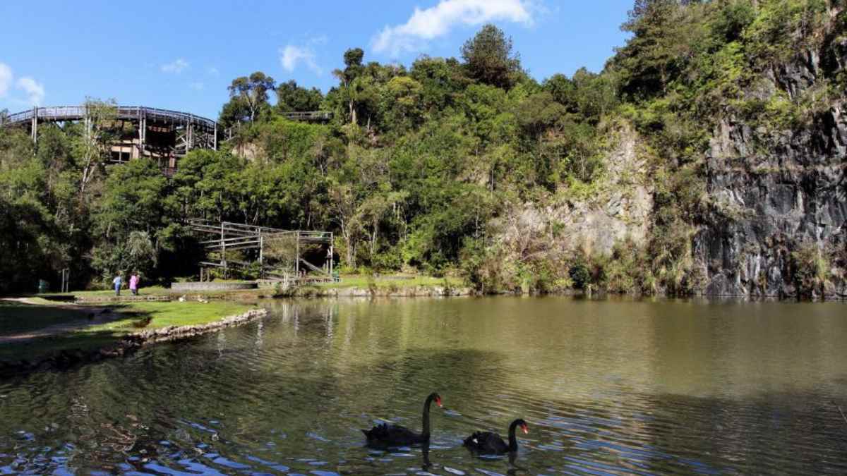 Previsão do tempo para Curitiba amanhã (11/06/2024), segundo o Climatempo