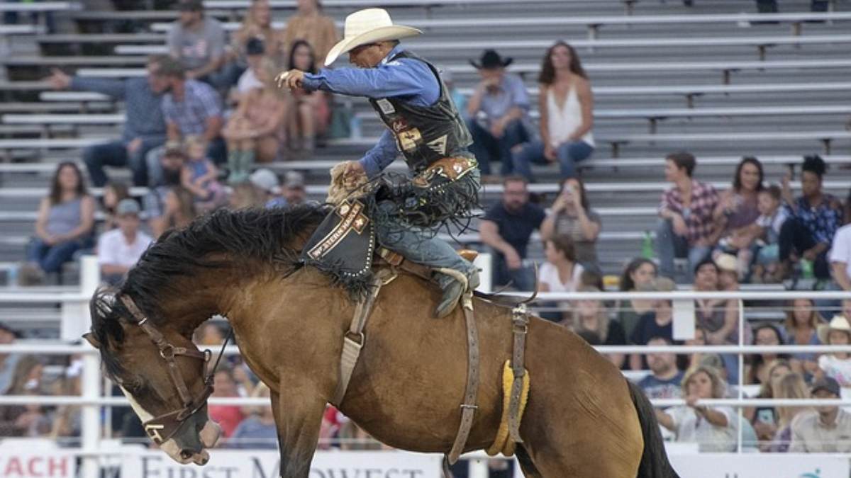 Rodeio Country é suspenso no Paraná; entenda o caso