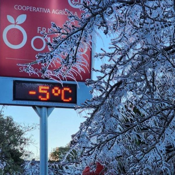 Seis cidades do Paraná registraram frio com temperaturas negativas