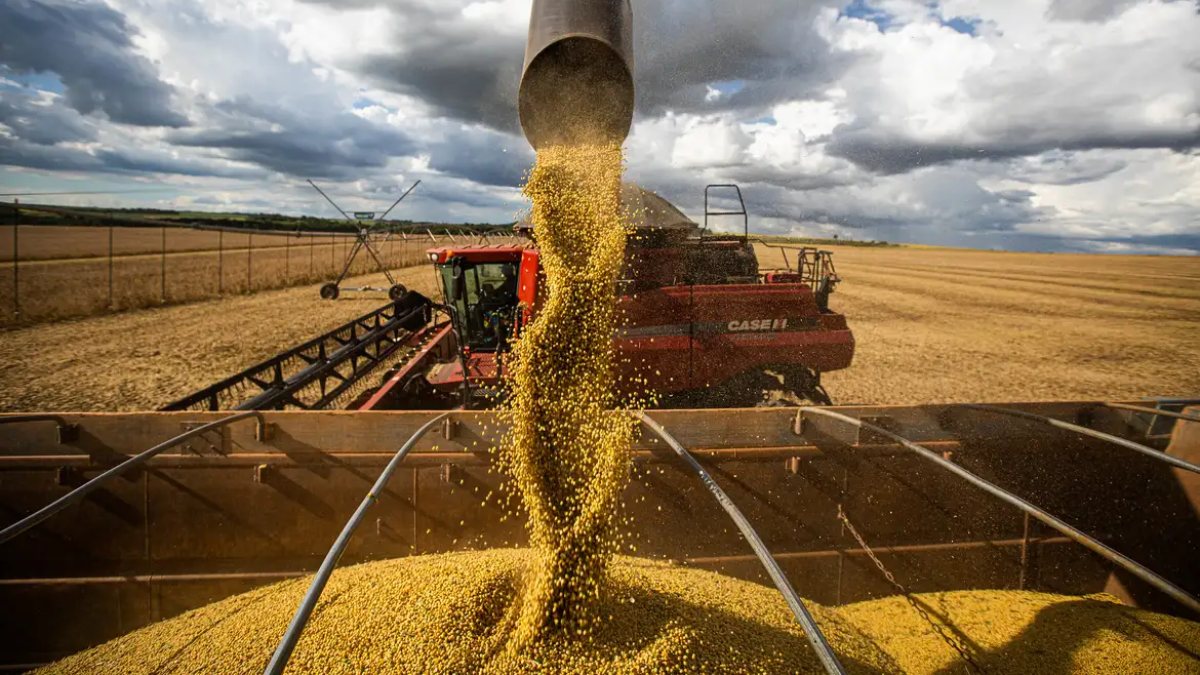 Texto-base que agrada agropecuária ainda precisa de aprovação 