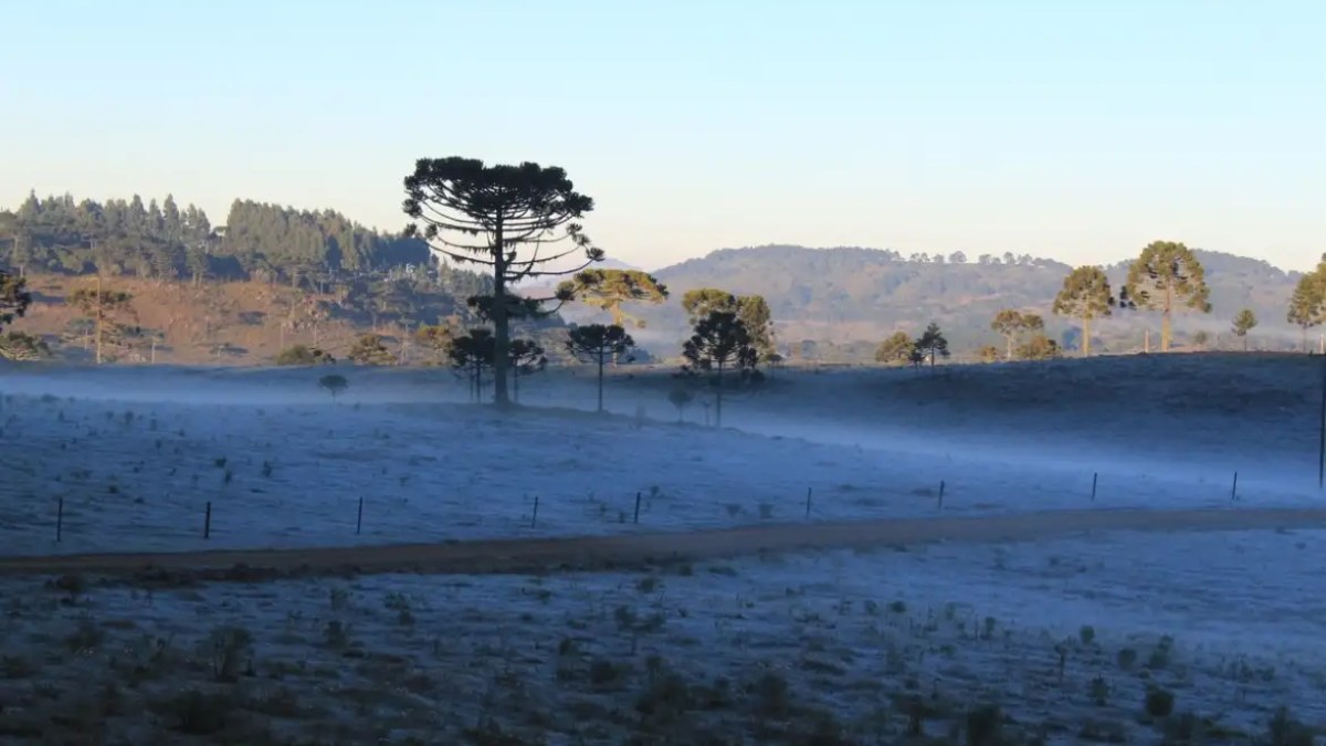 Cidade de Santa Catarina registrou sensação de -26,9°C? entenda