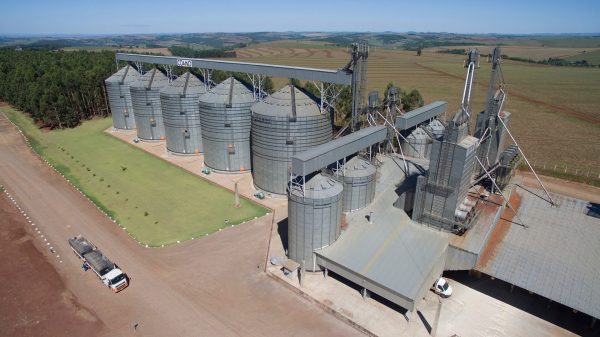 Produção agropecuária do Paraná bate recorde no 1° trimestre de 2024