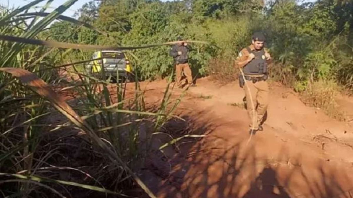 Corpo de jovem é encontrado decapitado em um milharal, no Paraná