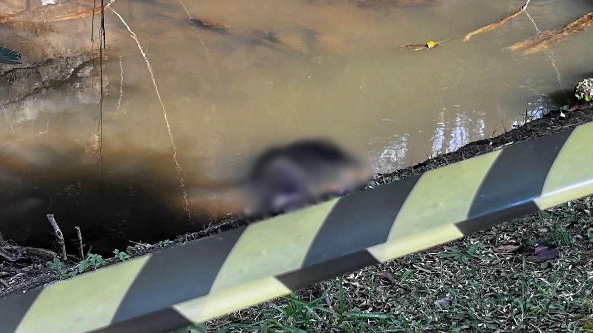 Uma mulher que passava pela ciclovia encontrou o corpo de um jovem dentro do Rio Belém, no Centro Cívico, em Curitiba, na manhã desta sexta-feira (26). De acordo com os policiais que atenderam ao chamado, ainda não é possível saber se o homem foi assassinado ou se a morte foi acidental. O corpo, ainda não identificado, foi encaminhado ao Instituto Médico Legal (IML).