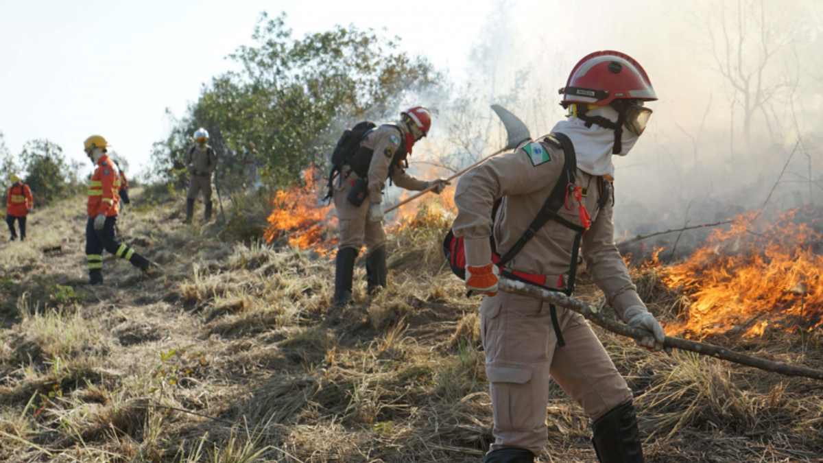 Incêndios no Paraná cresceram em 2024 com quase 10 mil ocorrências