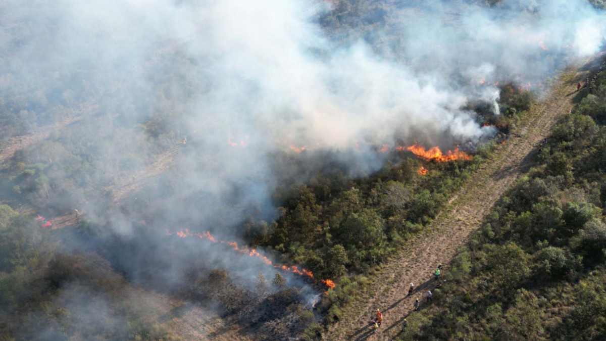 Incêndios no Paraná cresceram em 2024 com quase 10 mil ocorrências