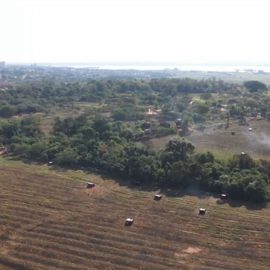 Indígenas que ocuparam terras em Guaíra e Terra Roxa têm 10 dias para saírem