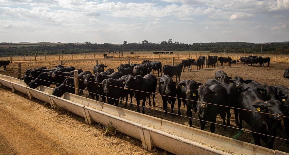 Setor da agropecuária está otimista com a reforma tributária 