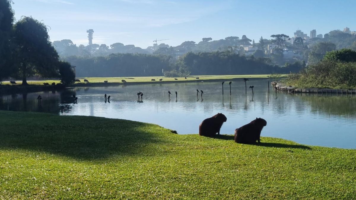 Sol promete voltar a Curitiba nesta quarta-feira (17)