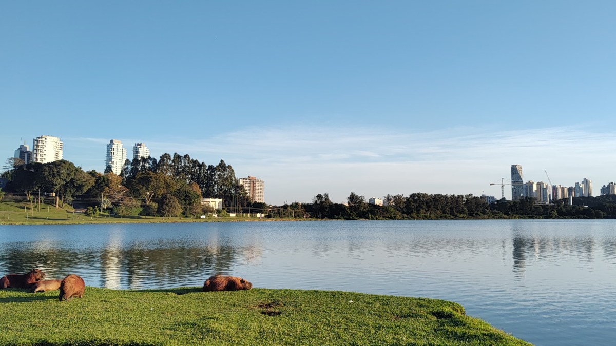 Curitiba deve ter tarde ensolarada neste domingo (21) 