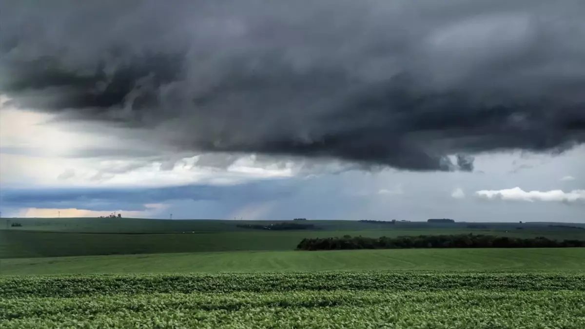 Temporal com rajadas de vento de 60 km/h e frio intenso atingem o Paraná
