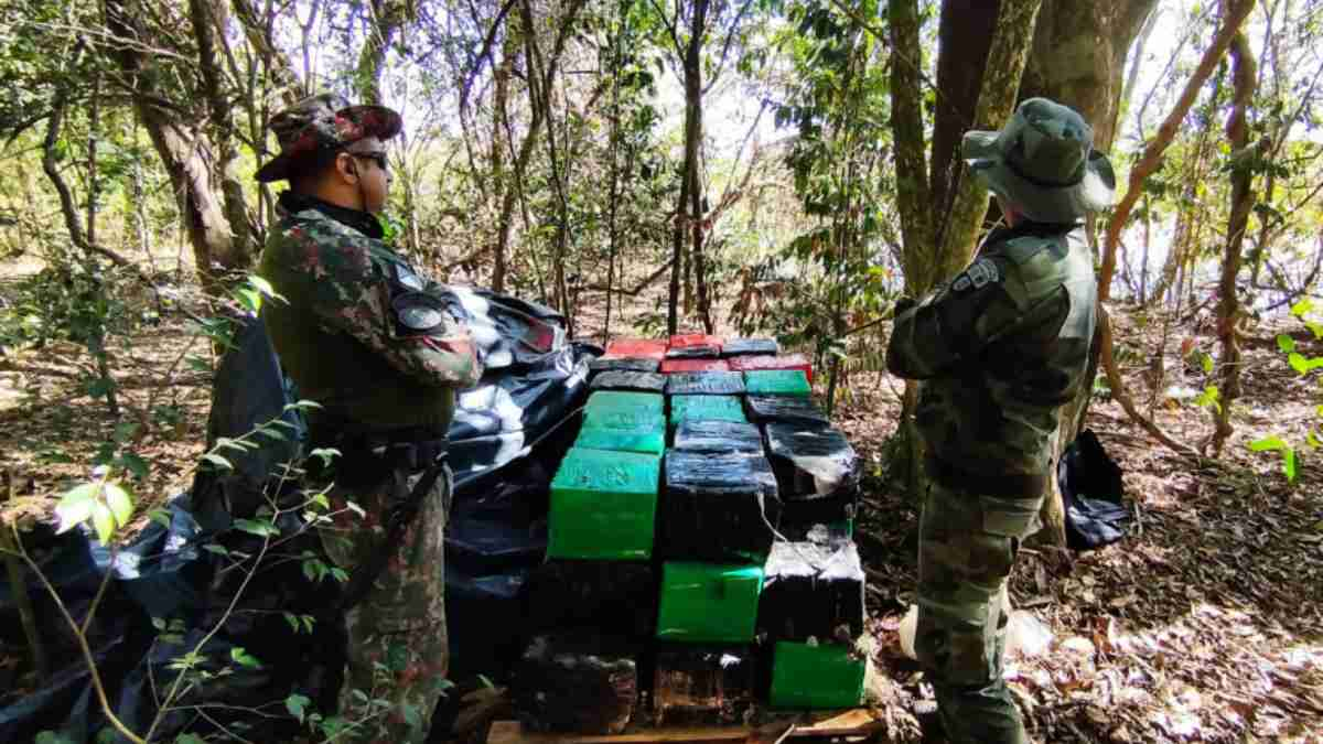 Polícia Ambiental apreende quase 1 tonelada de maconha em Icaraíma