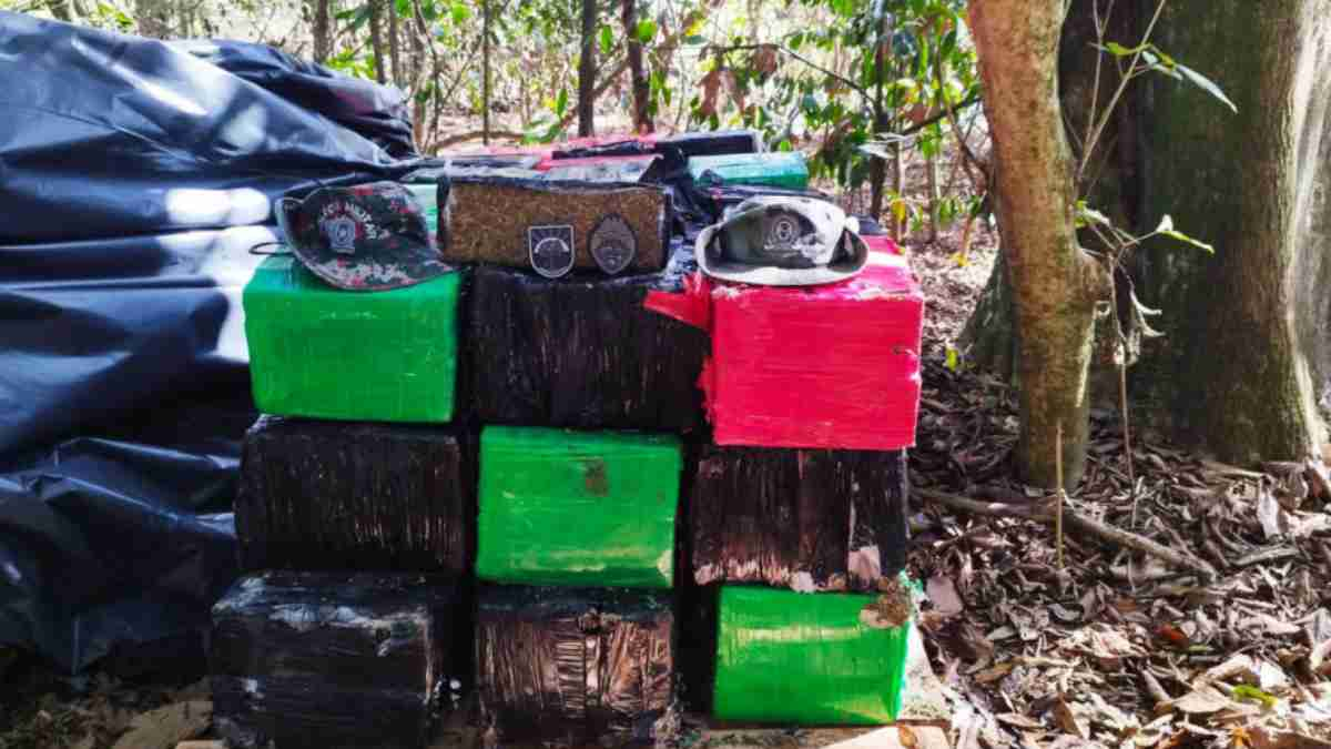 Polícia Ambiental apreende quase 1 tonelada de maconha em Icaraíma