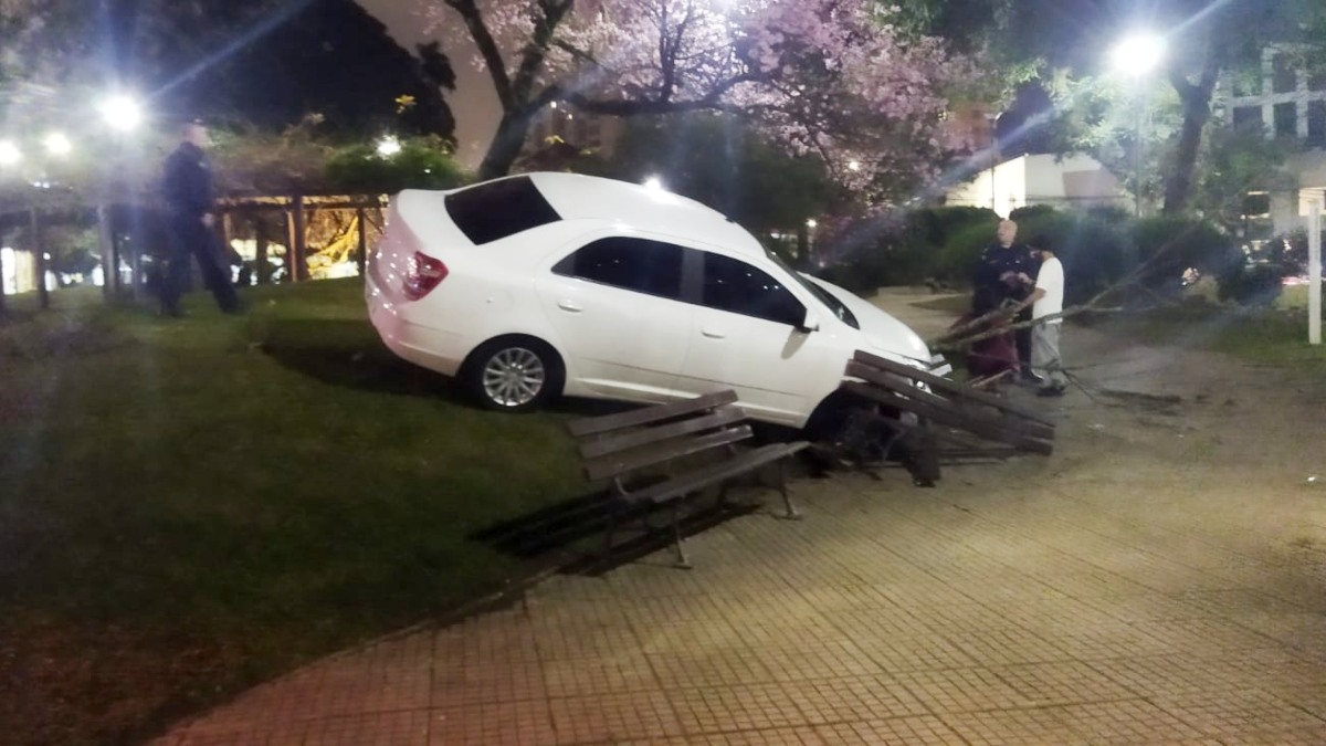 Motorista invade Praça do Japão e causa estragos