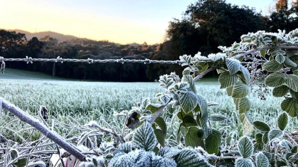 Inmet alerta para temporais com ventos de 60 km/h e queda de granizo, além de forte onda de frio no Paraná