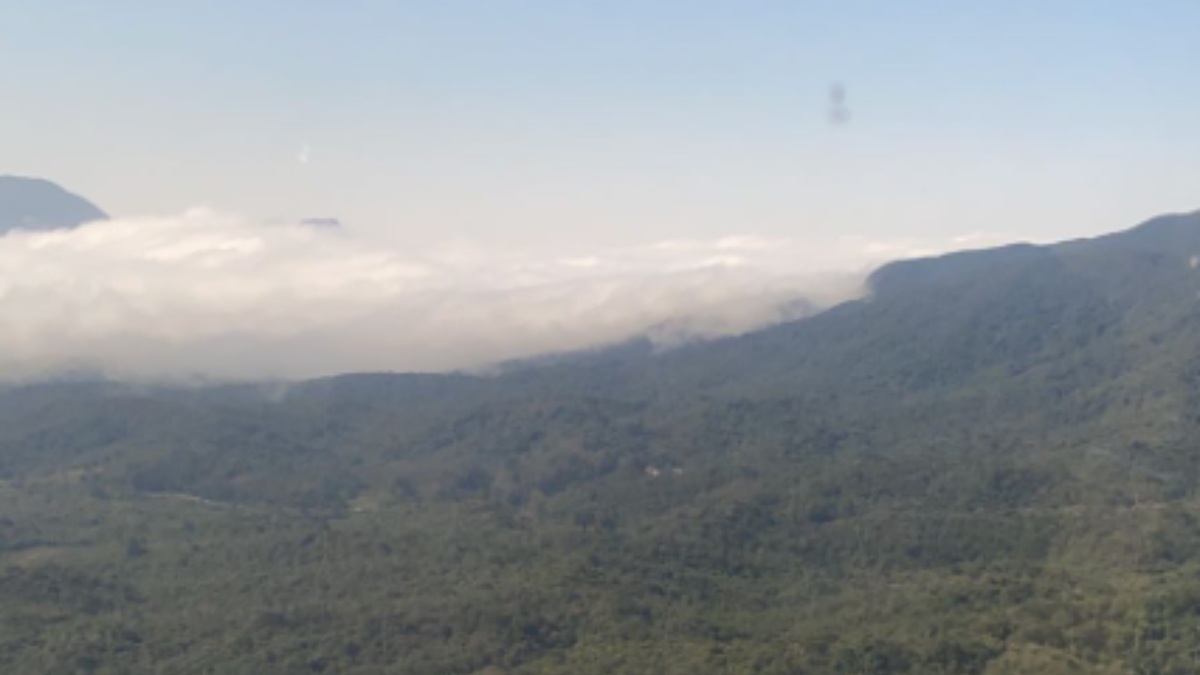 Buscas Serra do Mar