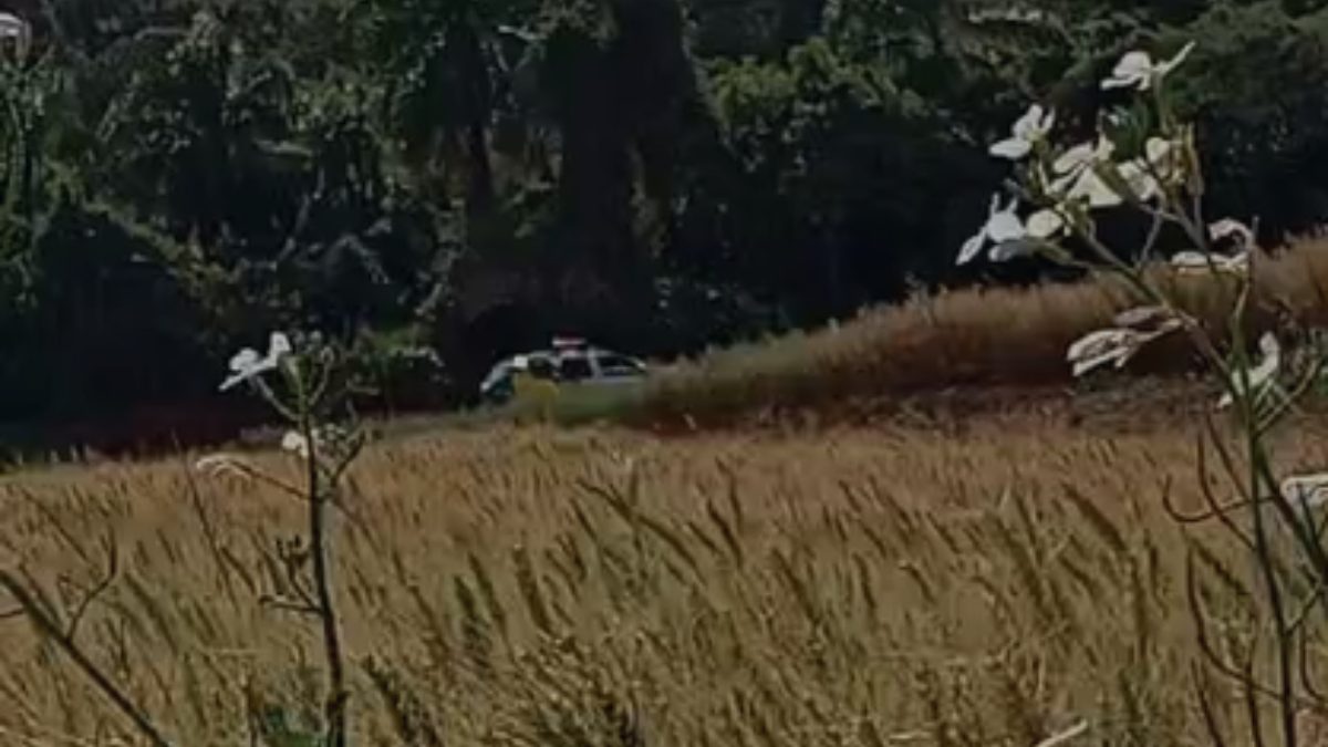 Corpo carbonizado é encontrado em mata no norte do Paraná