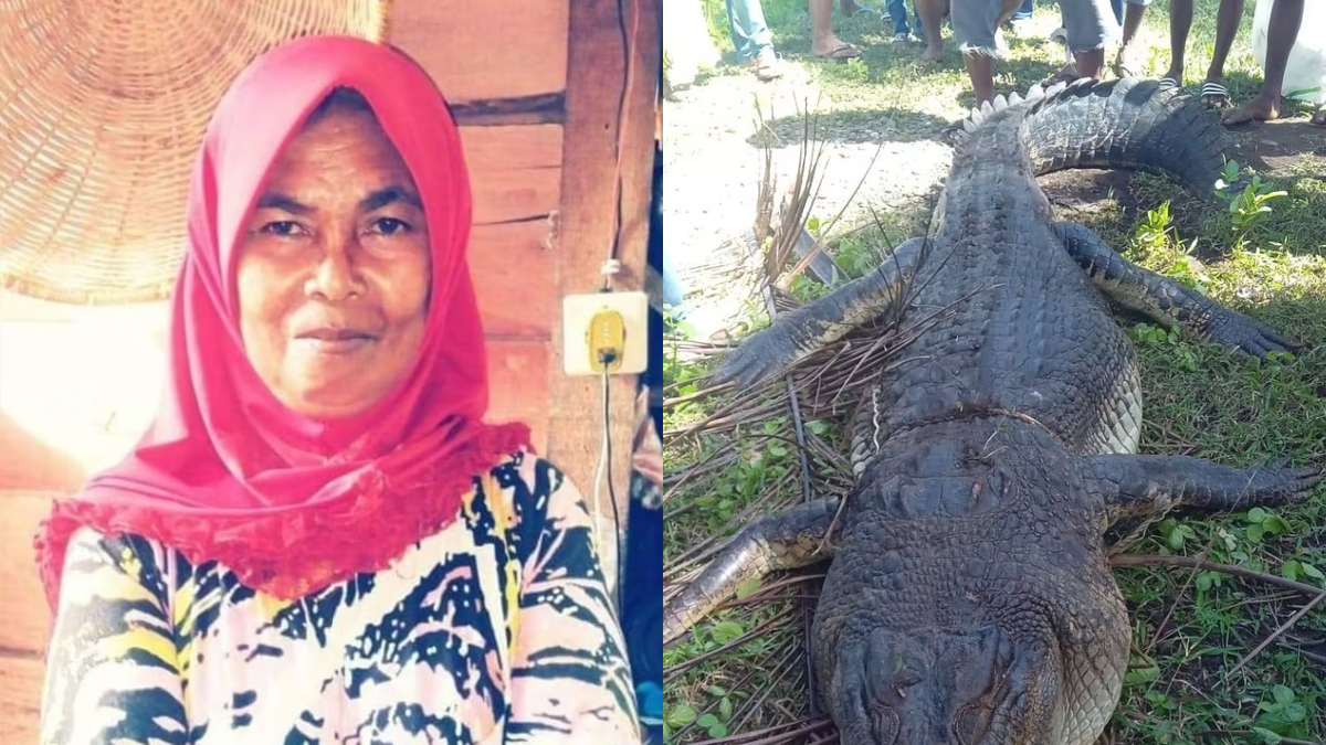 Mulher desaparece e partes do corpo são encontradas dentro de crocodilo gigante