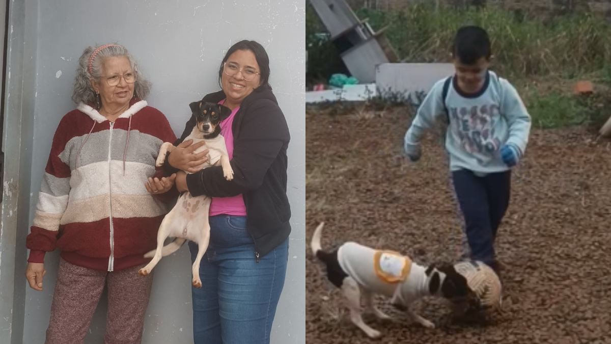 Família venezuelana e cachorrinha de estimação morreram em queda de avião